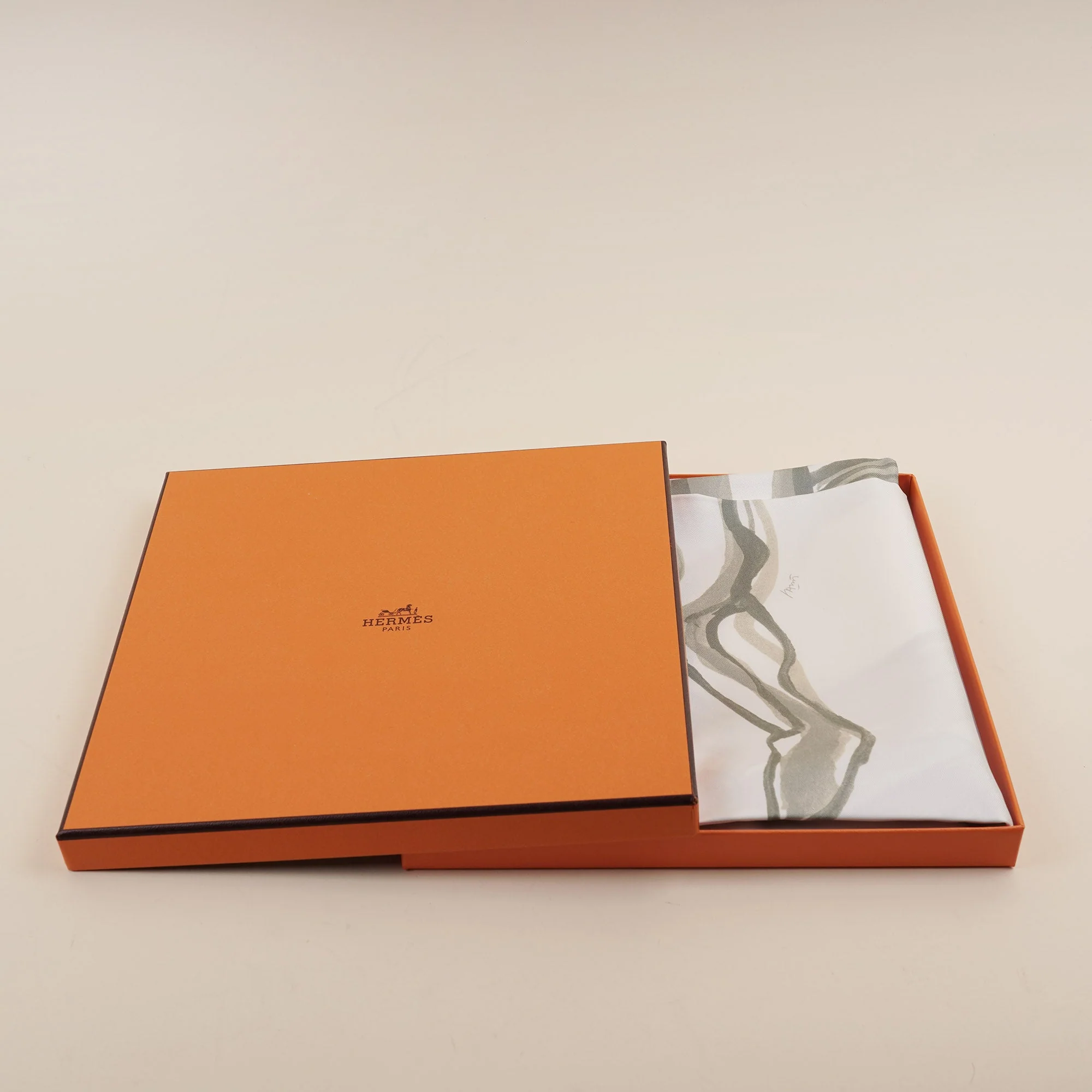 Pegase Silk Scarf - Image 5